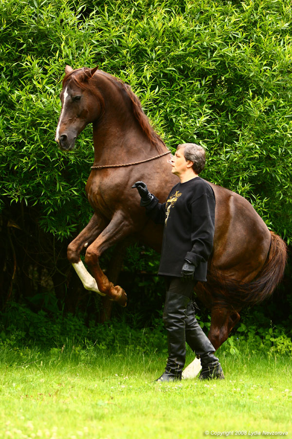 200809rr15