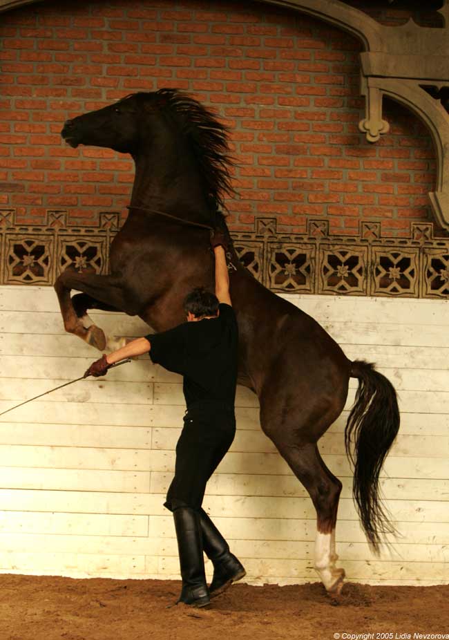 le-09