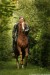 forest_33